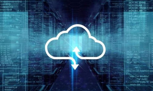 新紐科技 軟件賽道的新星，能否在SaaS領域一騎絕塵？